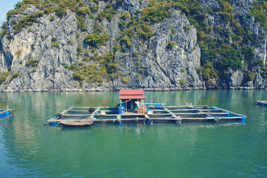 Vietnam: The Ultimate Travel Guide