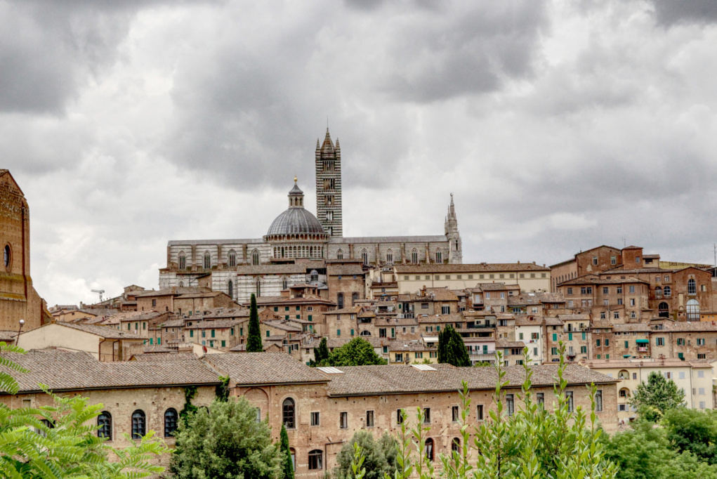 A Vagabond Life: The Ultimate Guide
