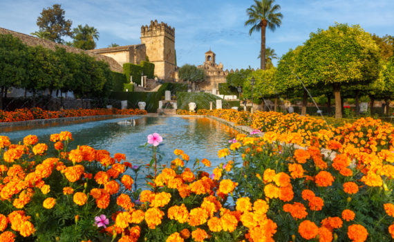 A Vagabond Life: Ultimate Travel Guide