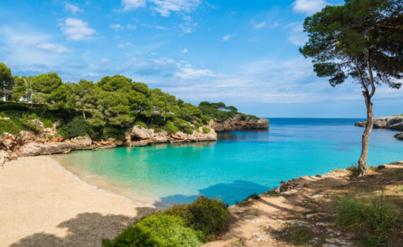A Vagabond Life: Ultimate Travel Guide